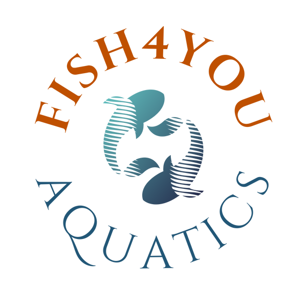 Fish4You Aquatics